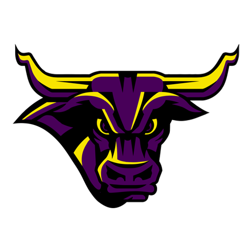 Minnesota State Mavericks