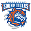Bridgeport Islanders