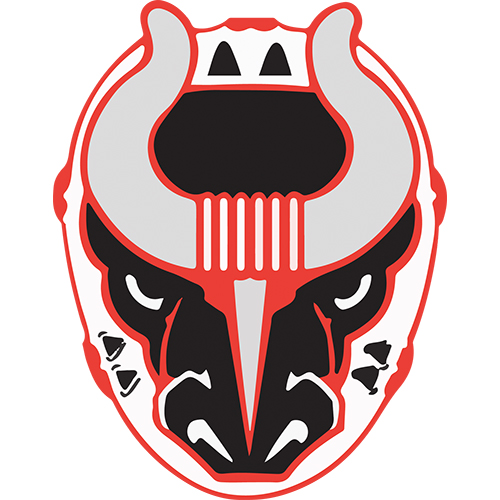 Birmingham Bulls