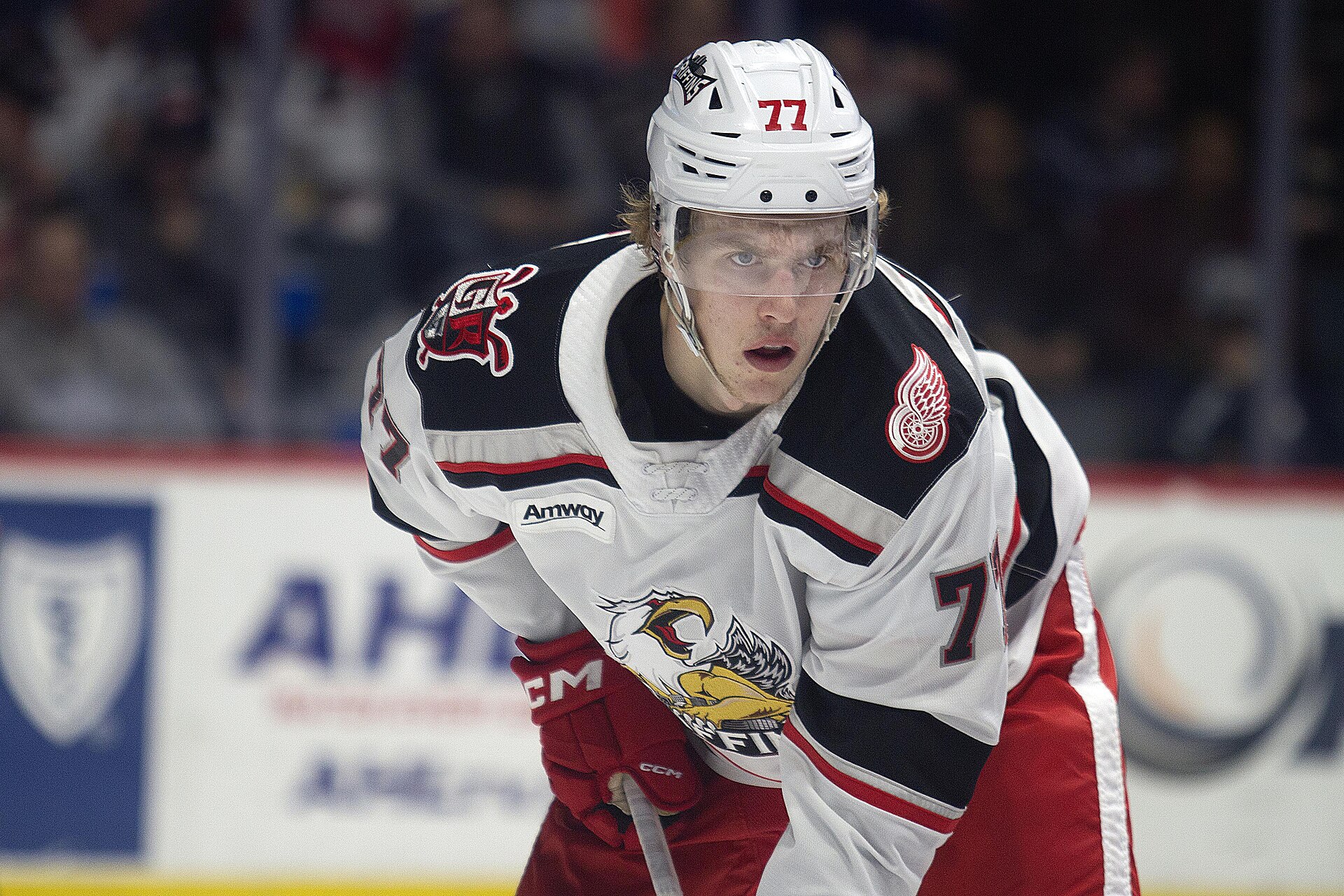 Simon Edvinsson with the Grand Rapids Griffins of the AHL in January 2023