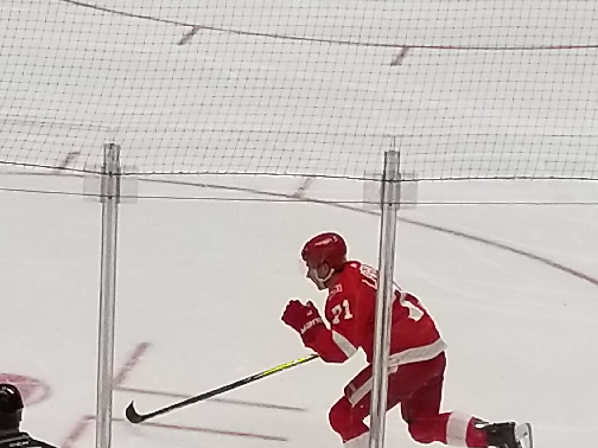 Dylan Larkin with the Detroit Red Wings against Chicago in January 2018