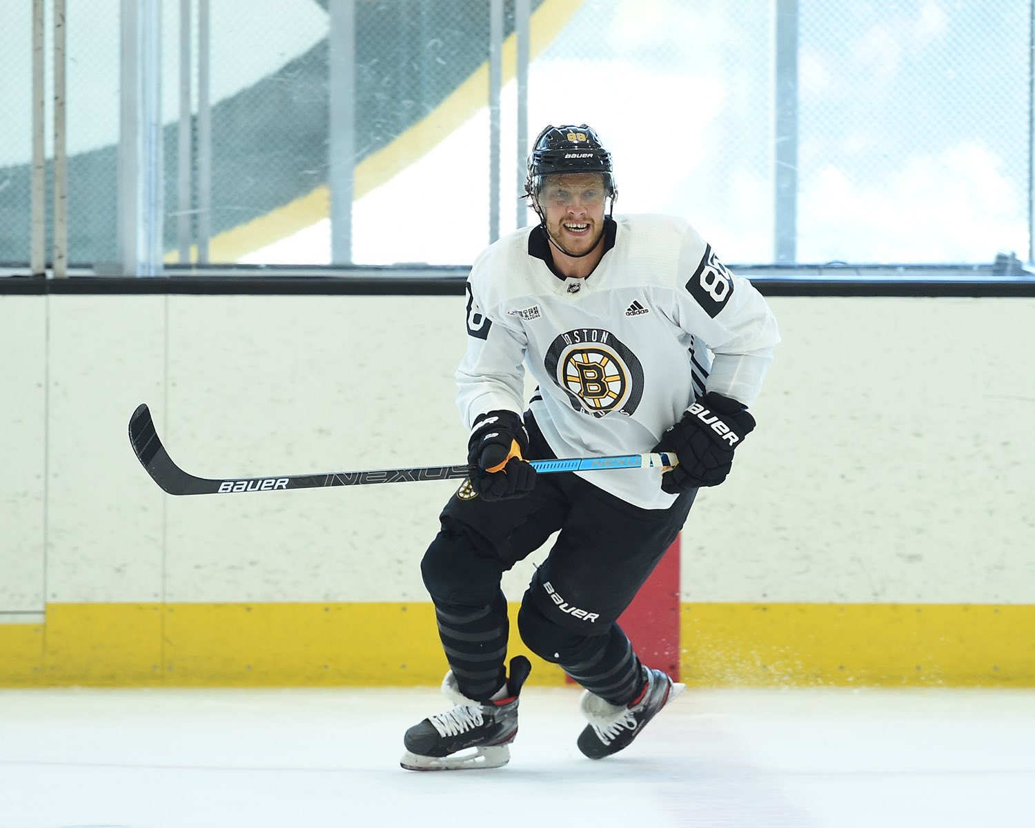 David Pastrnak of the Boston Bruins in 2019