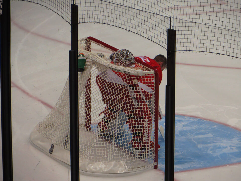Jimmy Howard in net for the Detroit Red Wings, 2015