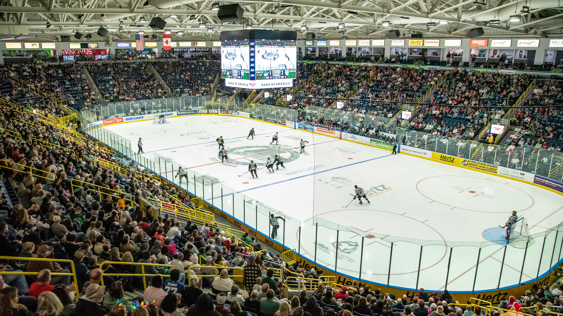 The Florida Everblades on home ice at Hertz Arena in Estero in December 2019