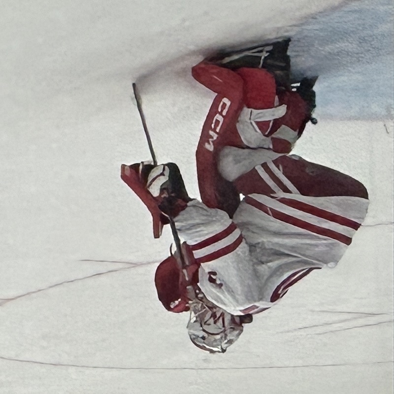 Wisconsin goaltender Ava McNaughton in net against Minnesota Duluth at LaBahn Arena, October 2024